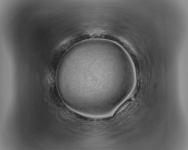 X0000108481063200904031425