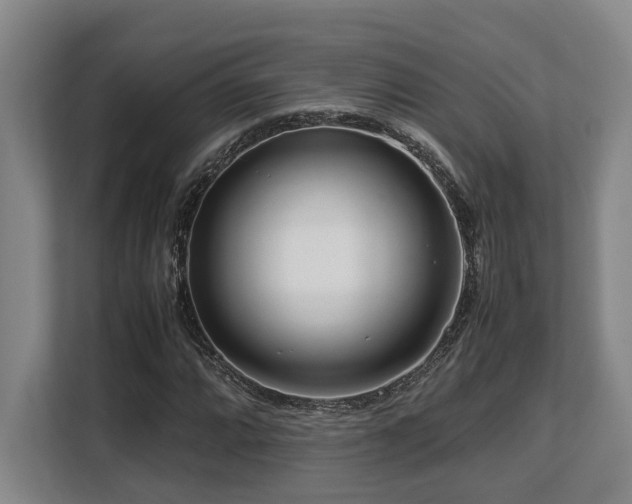 X0000108481064200904031425