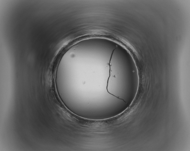X0000108481067200904031425