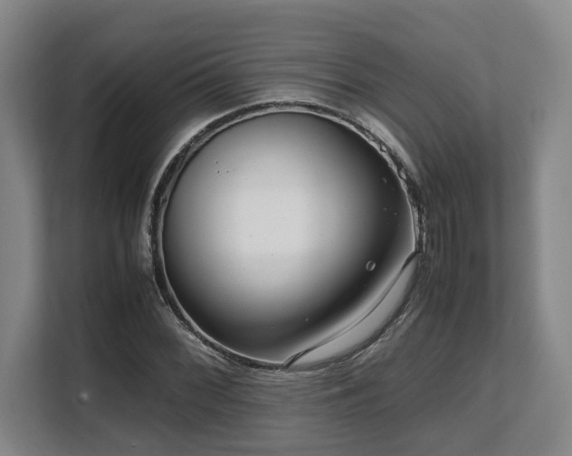 X0000108481068200904031425