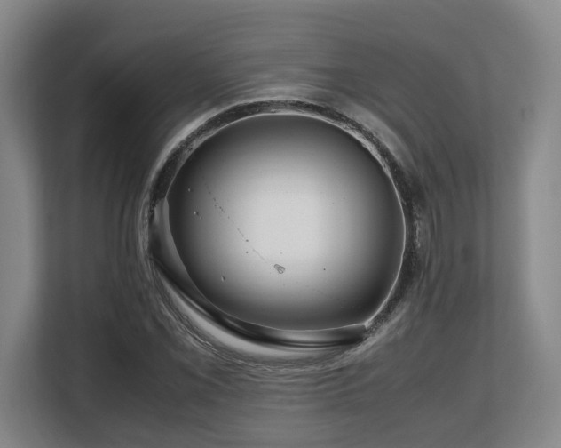 X0000108481069200904031425