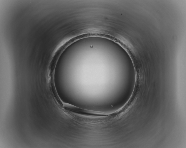 X0000108481070200904031425