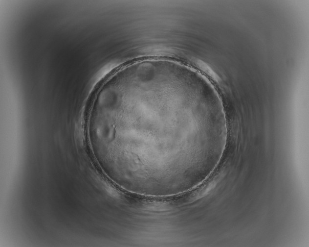 X0000108481071200904031425