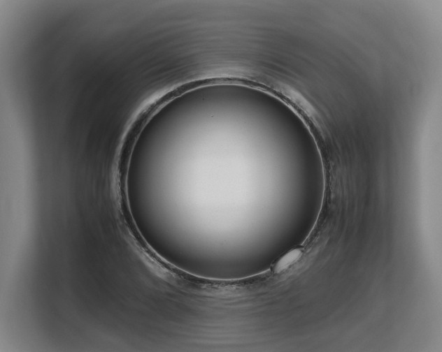 X0000108481072200904031425