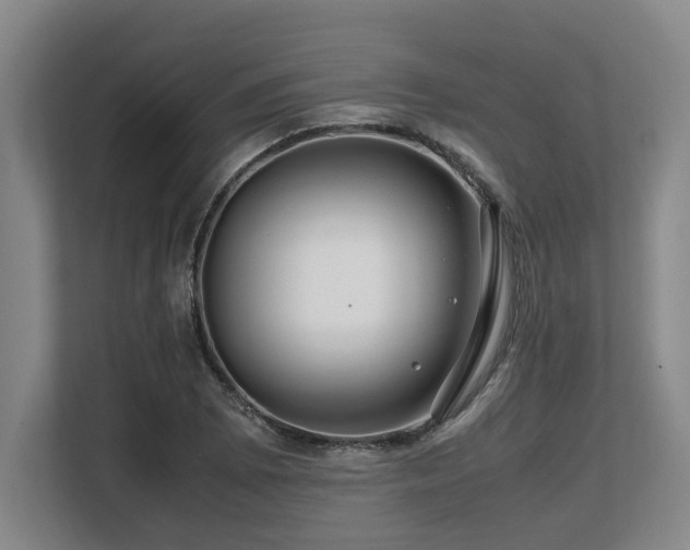 X0000108481073200904031425