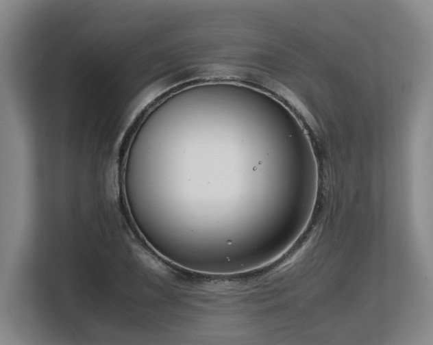 X0000108481075200904031425