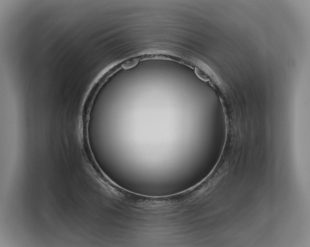 X0000108481076200904031425
