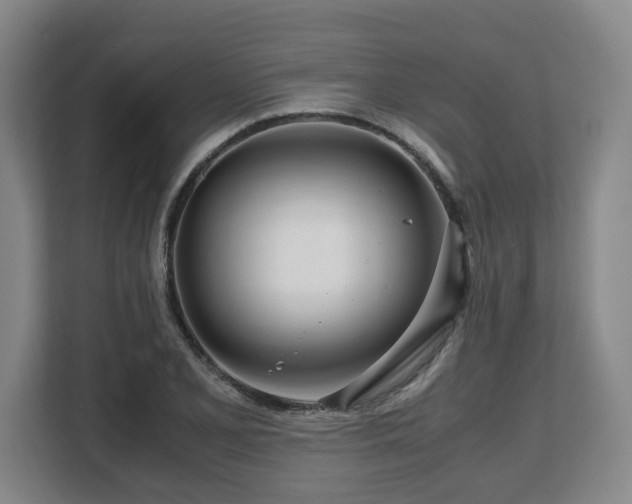 X0000108481077200904031425
