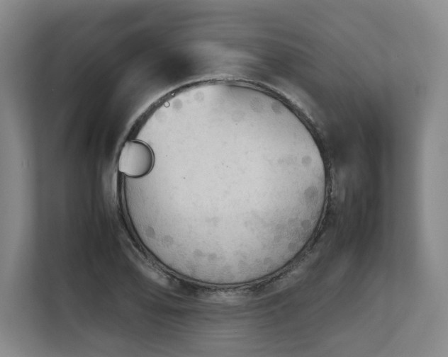 X0000108481078200904031425