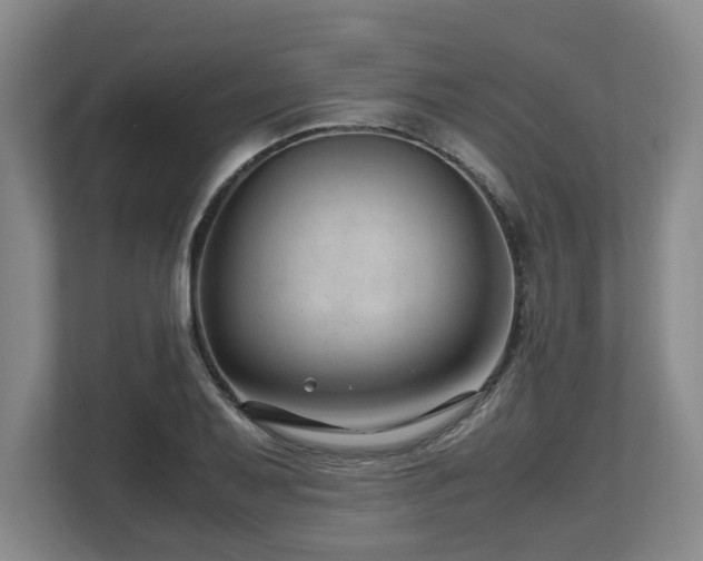 X0000108481079200904031425