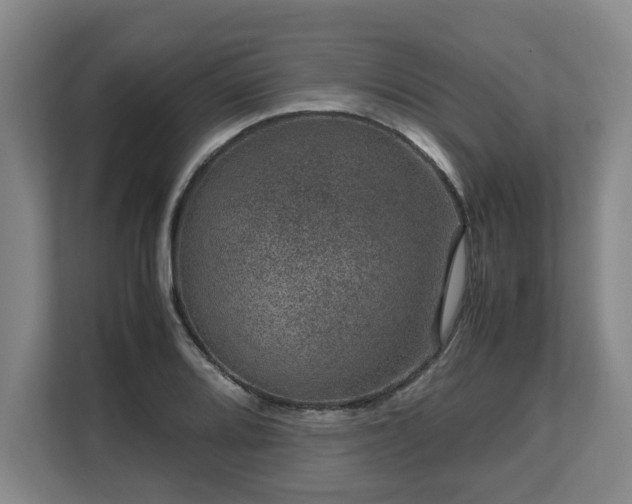 X0000108481080200904031425
