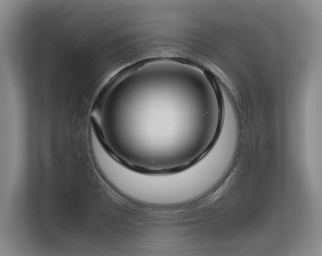 X0000108481081200904031425