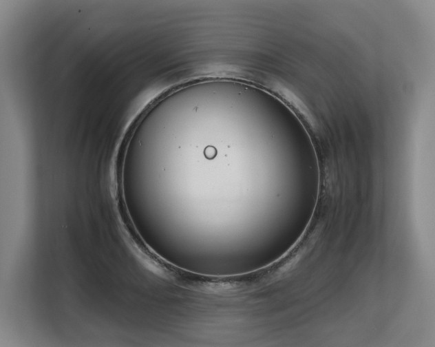 X0000108481082200904031425