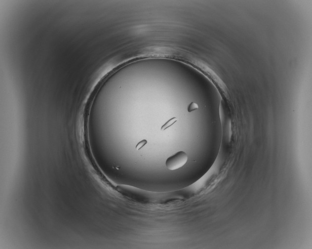 X0000108481083200904031425