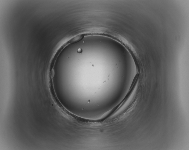 X0000108481085200904031425