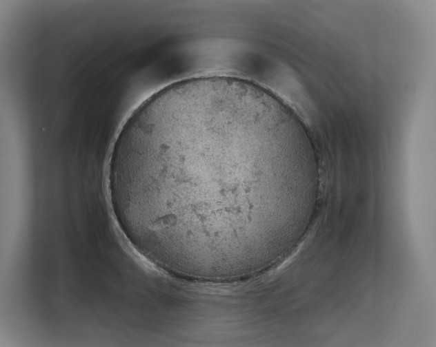 X0000108481086200904031425