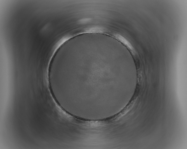 X0000108481087200904031425