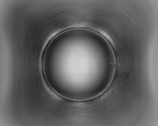 X0000108481088200904031425