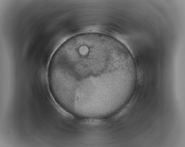 X0000108481090200904031425