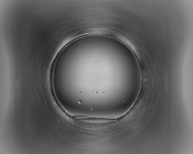 X0000108481091200904031425