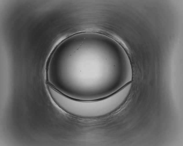 X0000108481095200904031424