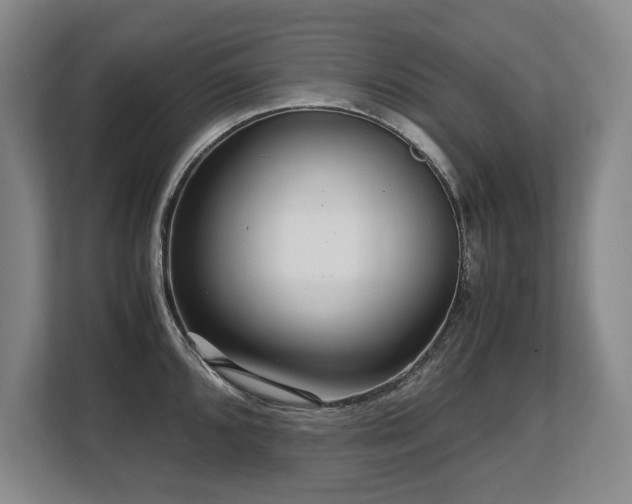 X0000108481096200904031424