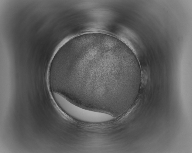 X0000108481098200904031424
