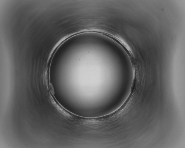 X0000108481100200904031424