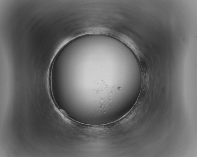 X0000108481103200904031424