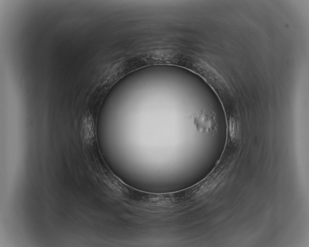 X0000108481107200904031424