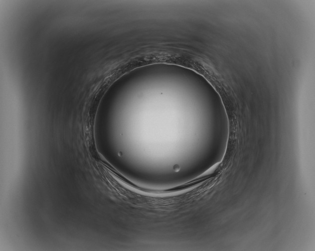 X0000108481109200904031424
