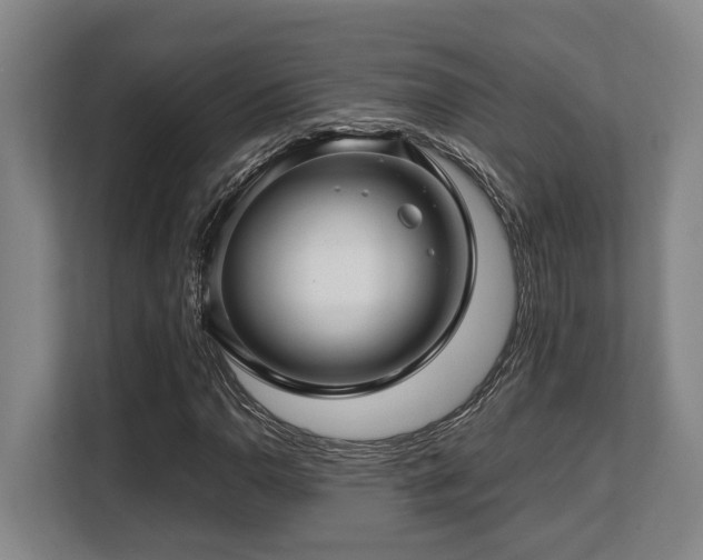 X0000108481110200904031424