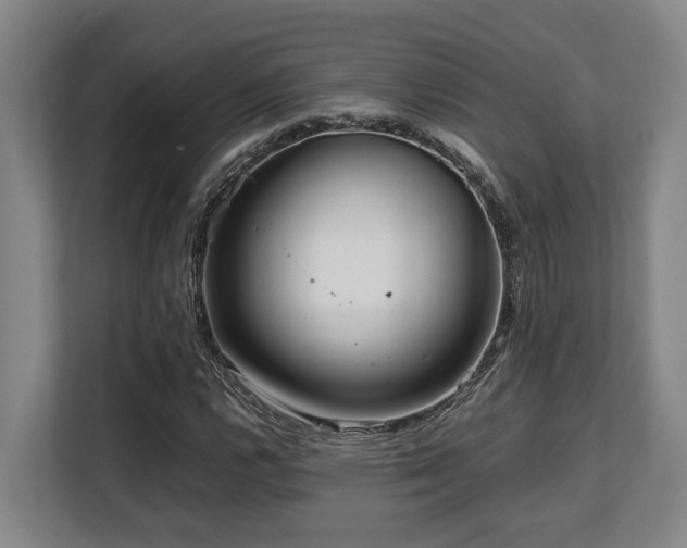 X0000108481112200904031424