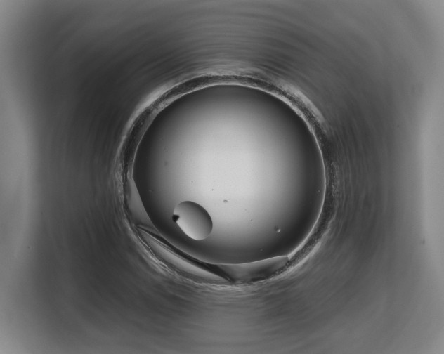 X0000108481114200904031424