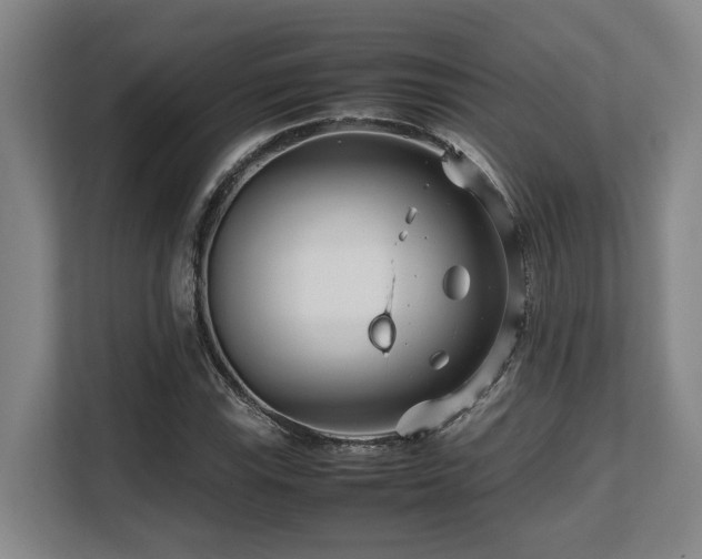 X0000108481115200904031424