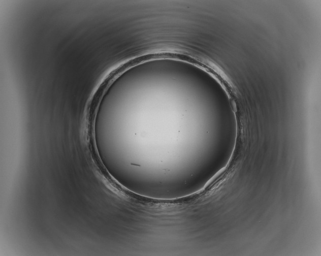 X0000108481116200904031424