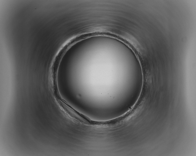 X0000108481118200904031424