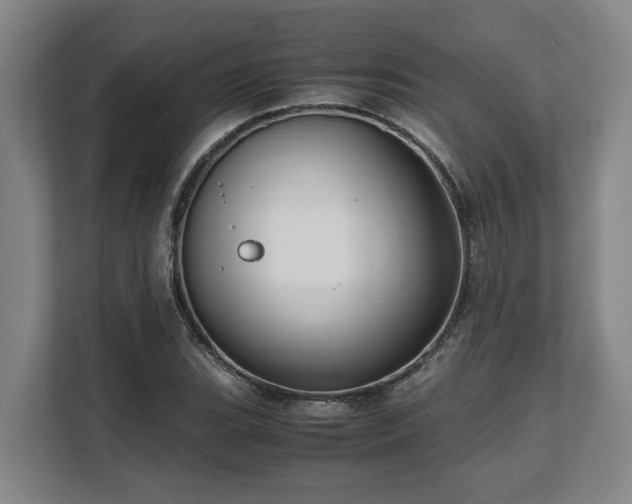 X0000108481119200904031424