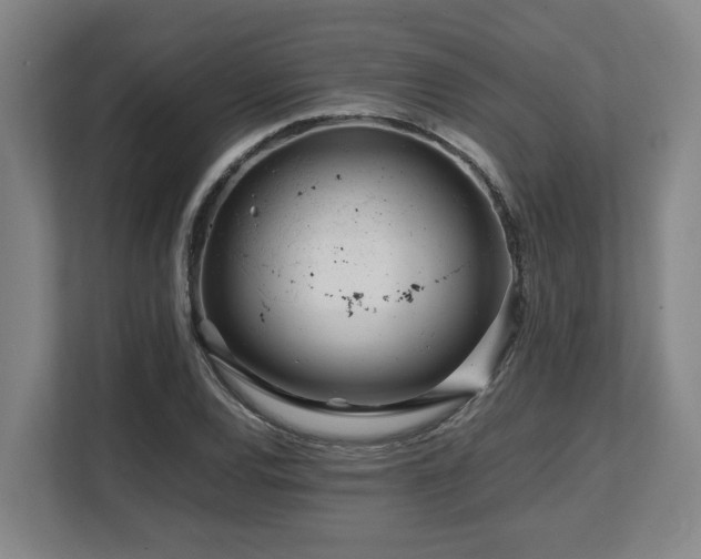 X0000108481120200904031424
