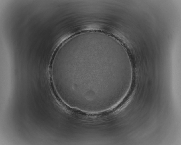 X0000108481121200904031424