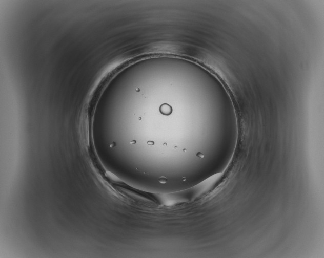 X0000108481123200904031424