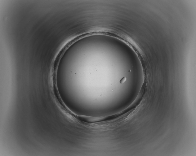 X0000108481124200904031424