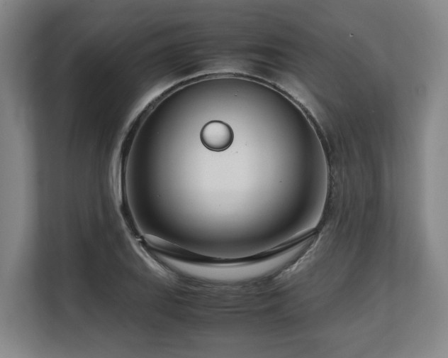 X0000108481127200904031424