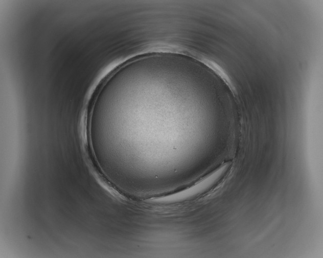 X0000108481128200904031424