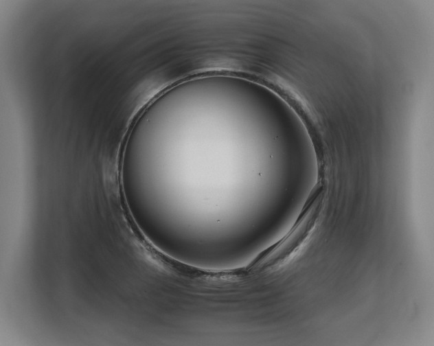 X0000108481129200904031424