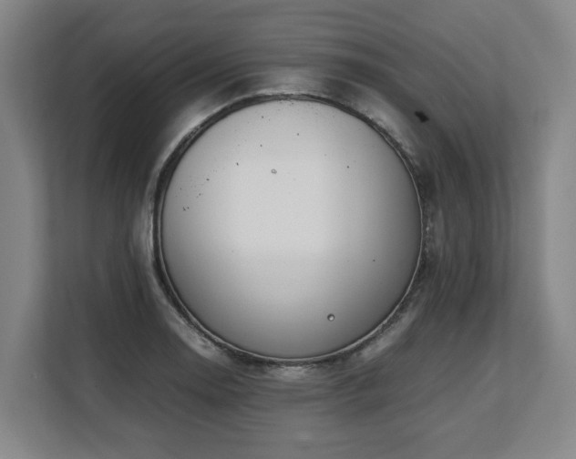 X0000108481130200904031424