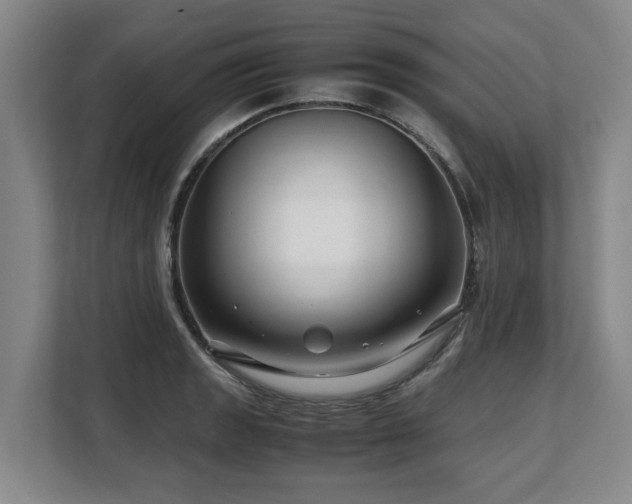X0000108481133200904031424