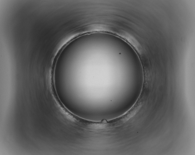 X0000108481134200904031424
