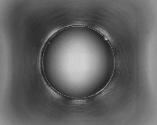 X0000108481135200904031424