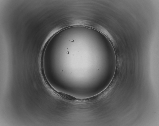 X0000108481138200904031424